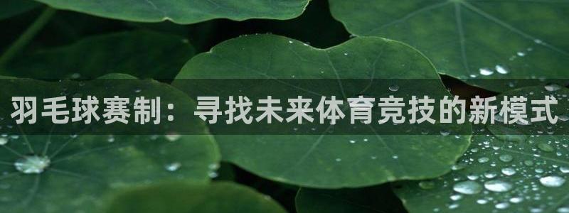 皇冠软件直营