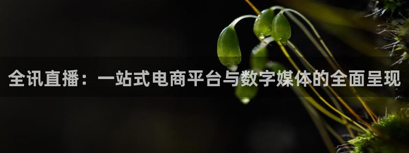 蓝鲸app足球直播：全讯直播：一站式电商平台与数字媒体的全面呈现