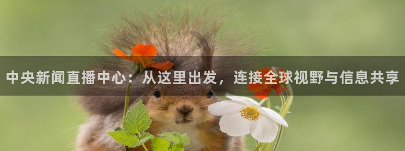 蓝鲸体育app官网版：中央新闻直播中心：从这里出发，连接全球视野与信息共享