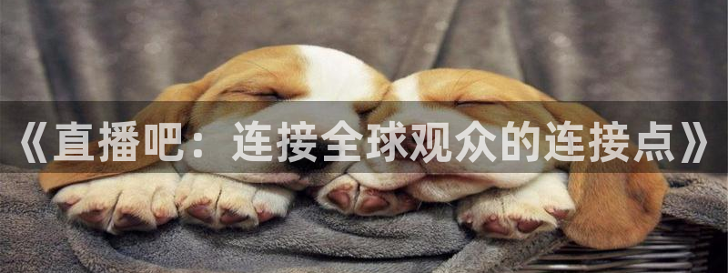 蓝鲸直播现在叫什么：《直播吧：连接全球观众的连接点》