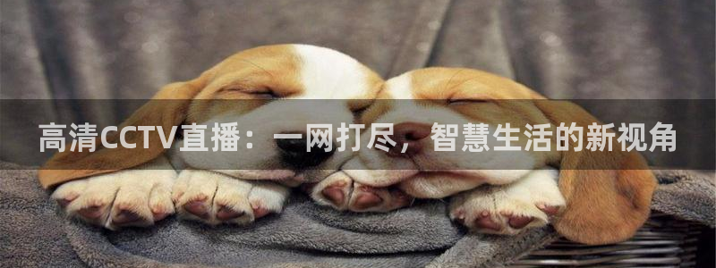 蓝鲸体育直播电脑版：高清CCTV直播：一网打尽，智慧生活的新视角
