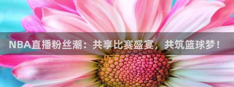 蓝鲸体育直播在线：NBA直播粉丝潮：共享比赛盛宴，共筑篮球梦！