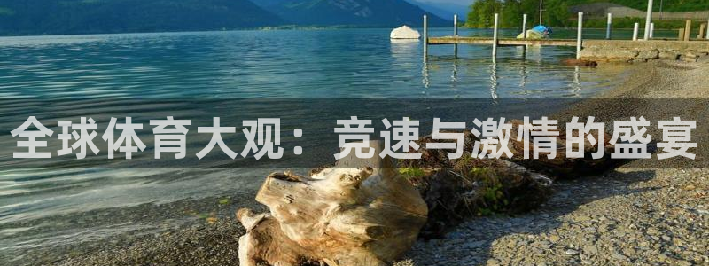 蓝鲸直播nba：全球体育大观：竞速与激情的盛宴