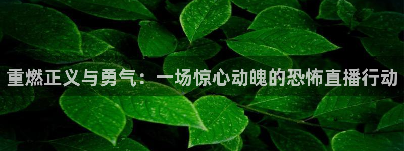 蓝鲸直播app ios：重燃正义与勇气：一场惊心动魄的恐怖直播行动