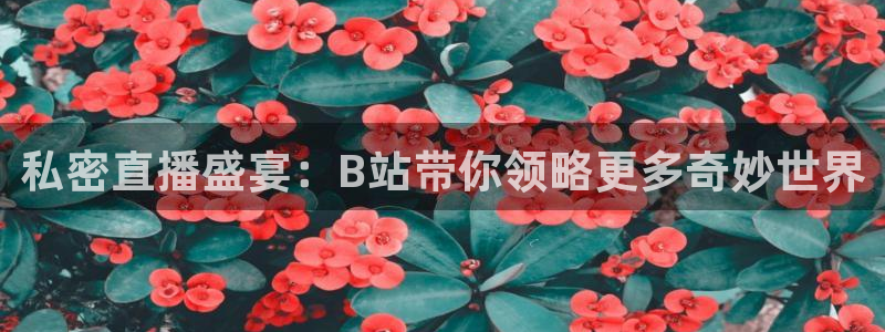 蓝鲸体育直播免费观看：私密直播盛宴：B站带你领略更多奇妙世界