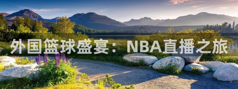 蓝鲸体育直播在线观看免费高清：外国篮球盛宴：NBA直播之旅